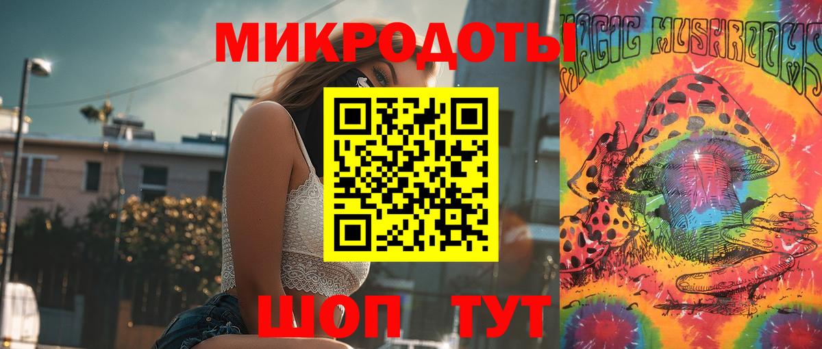 Шебекино  Псилоцибиновые грибы Psilocybe  Вход с VPN  Галлюциногенные грибы мицелий 